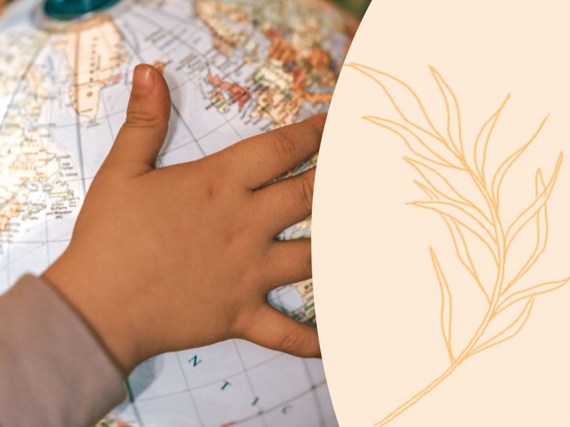 How common is autism in the world autism resources